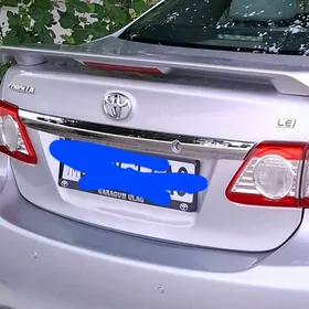 Carolla Le fara