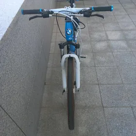 BMW tigir