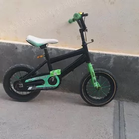 tigir 12