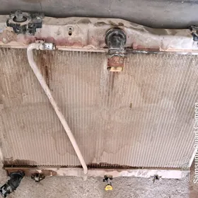 Hays 2008 kerpic. Radiyator
