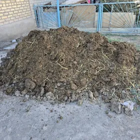 Дерс бар,малын дерси!