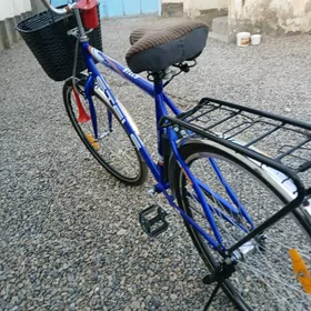 29lyk