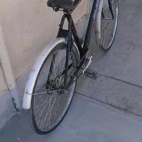 26 lyk Tigir