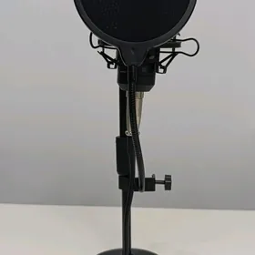 Mikrofon Ritmix