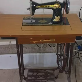 Dikin maşyn