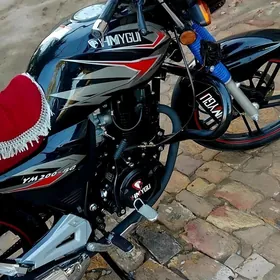 Fekon FK200-14G 2025