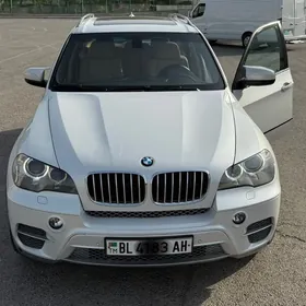 BMW X5 2010