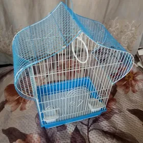 Guş ketek🦜