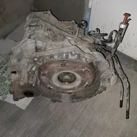 corolla korobka