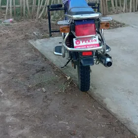 Fekon FK150-8G 2024