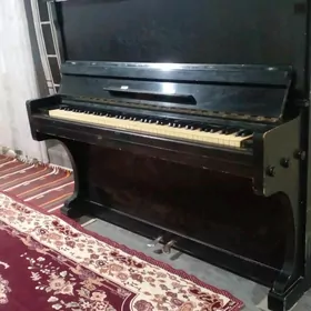 pionina