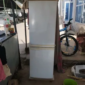 haladynk