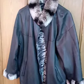 koja kurtga