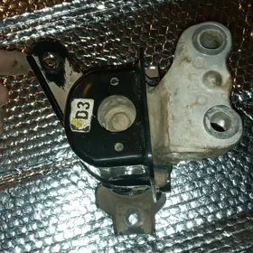 paduşka karolla morda