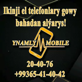 A16.26.56 alyan