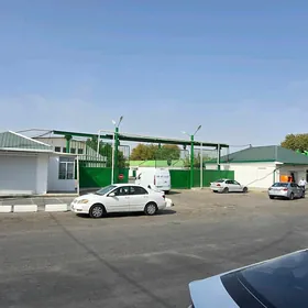 satlyk magazin