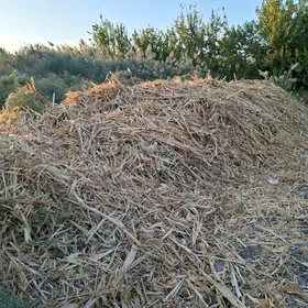 от мекге ot