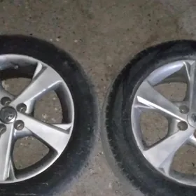 exkuliziv diska pakryşka karol