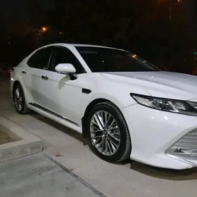 Toyota Camry 2019