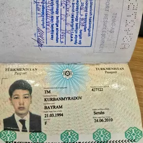 Pasport tapdym