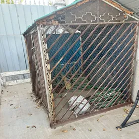 Ketek Курятник