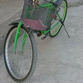 Turkmenistan tigir