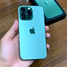 iPhone 13Pro256Gb