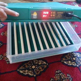 Inkibator 64 Yumurtga