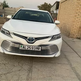 Toyota Camry Hybrid 2019
