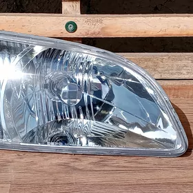 fara siyena 2002 sag tarap