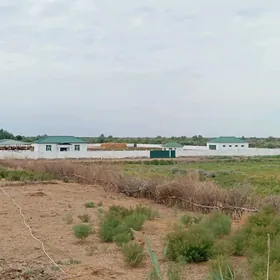 Mal ferma