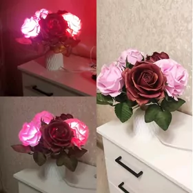 светильник, розы