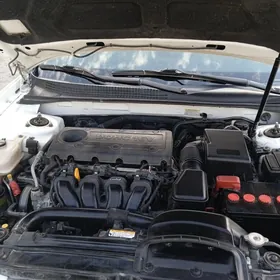 Hyundai Sonata 2009