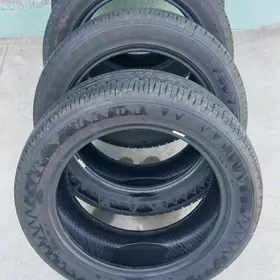 Pakryşka 4şt 17lik.