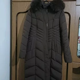 Kurtka