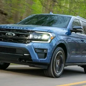 Kowrik Ford Expedition 2021 24