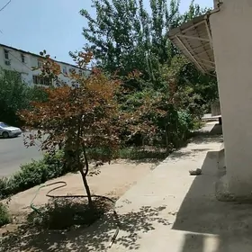 gyz isgar gozleyan koke seha