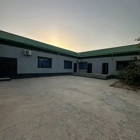 Bagyr 4 sotak