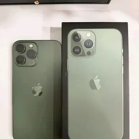 iphone 13 pro max 256