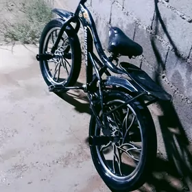 Tigir duga