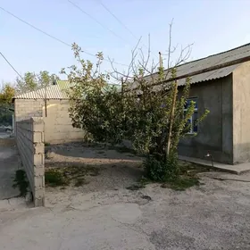 Satlyk 12sotak melek Gypjak