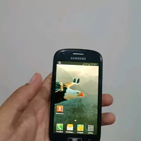Samsung S3mini