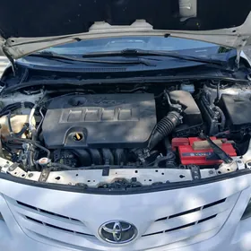 Toyota Corolla 2011