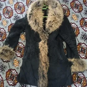 şuba