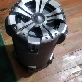 salamon