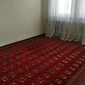 Grazdan uspen koce  1/2 edilen