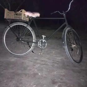Aýis welik