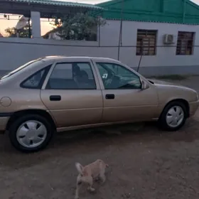 Opel Vectra 1991