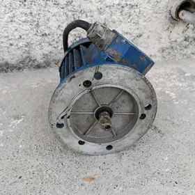 Elektrodwigatel