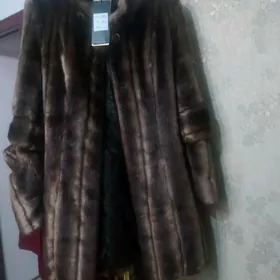 Şuba Taze